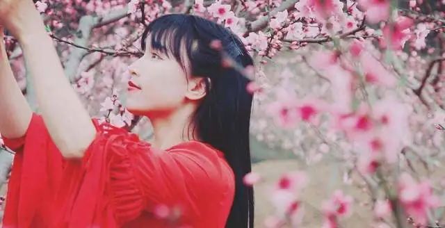 李子柒歸來！透視1億粉絲背后的食品局，流量為王是硬道理