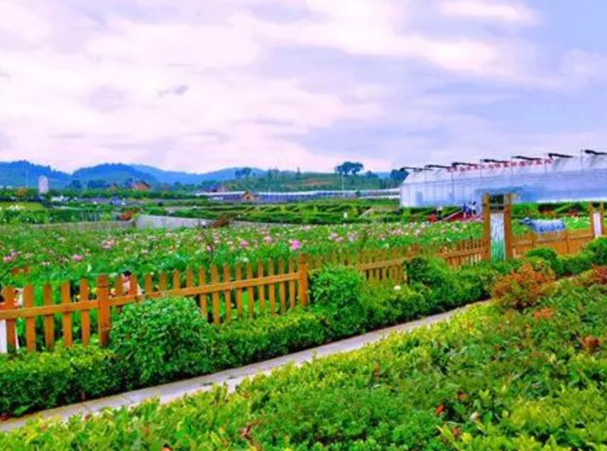 【品牌農(nóng)業(yè)】發(fā)展品牌農(nóng)業(yè)，懂了這些之后，不再迷茫！