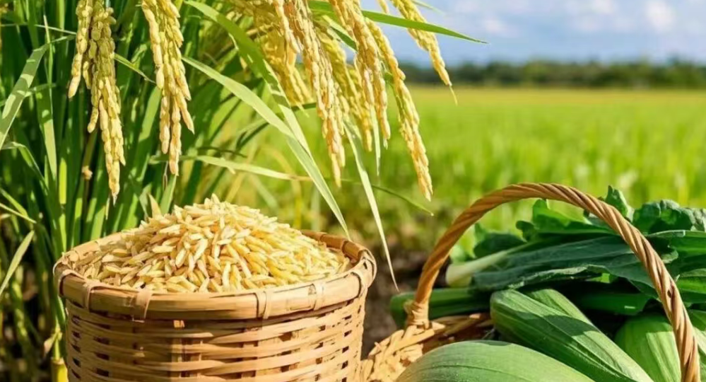 【品牌農業】縣域農業突圍戰：三產融合鍛造農業高質量發展新引擎