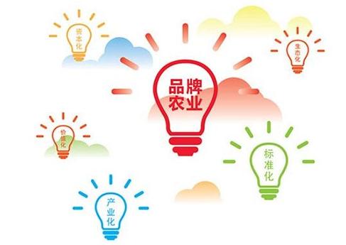 品牌農業營銷，究竟是如何打造？