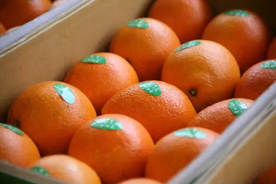 品牌化趨勢(shì)不可獨(dú)擋，如何快速打造農(nóng)產(chǎn)品品牌？