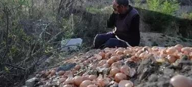 正大雞蛋比普通雞蛋高3倍，這就是品牌的力量！