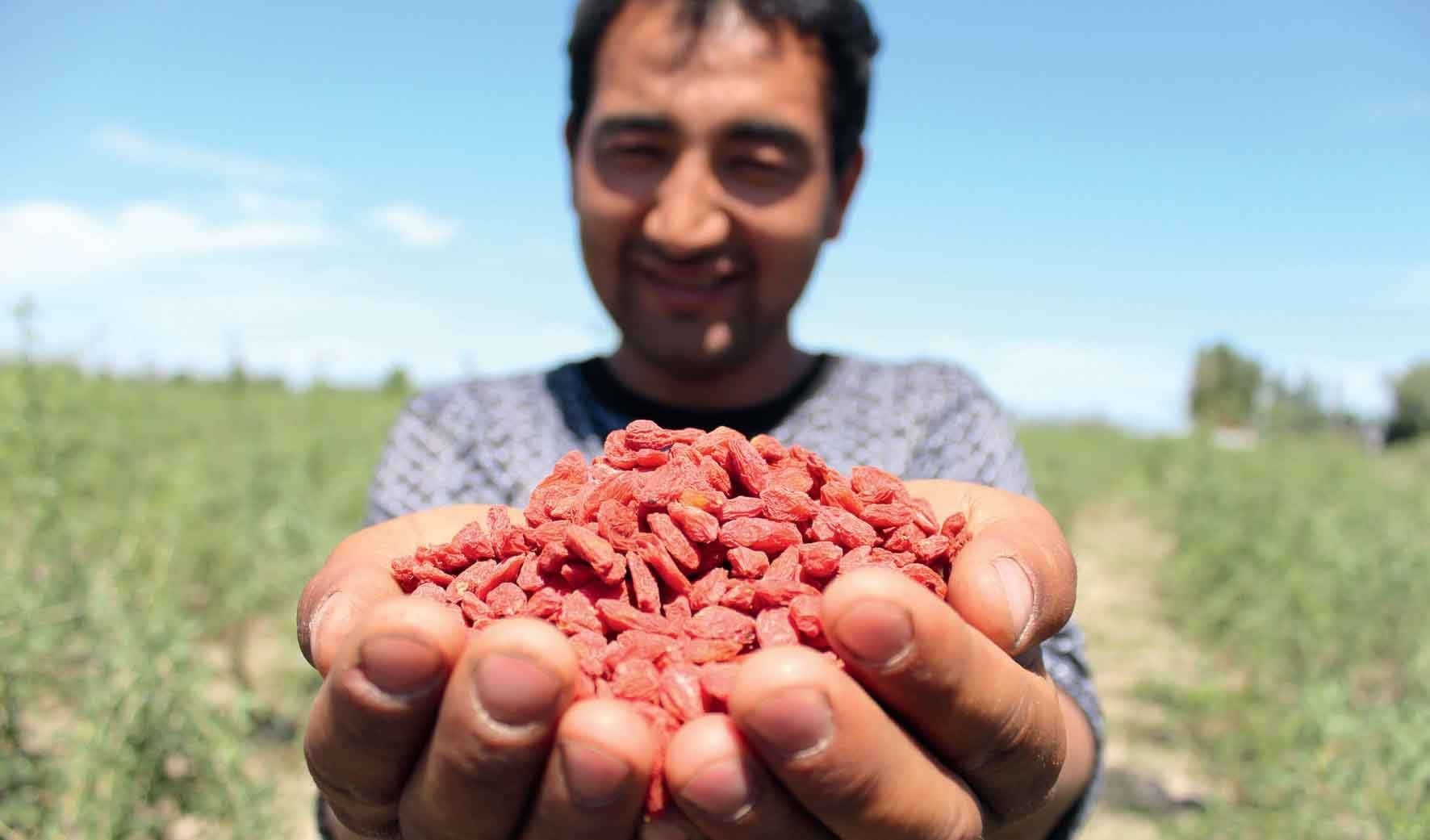 如何賣貨？看看這些新農人經營策略