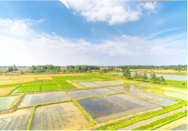 北大怪才，他要用一只小龍蝦改變社會(huì)的潛規(guī)則，一年銷售了4個(gè)億！