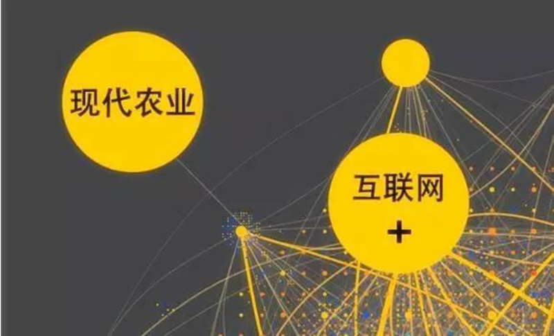 告別“土特產(chǎn)時(shí)代”，這才是農(nóng)產(chǎn)品“走出去”的最有效方式！