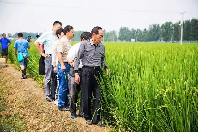 3小時，1000萬！解決農業銷售，籌錢的新思路？