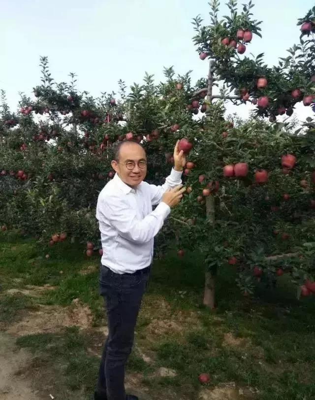 經(jīng)營|賣情懷的“潘蘋果”，光靠名人效應(yīng)還能走多遠(yuǎn)？