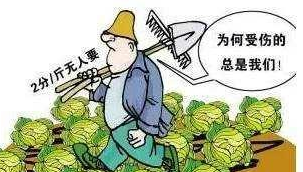 讓農產品不再滯銷，這5大銷售渠道一定有適合你的！