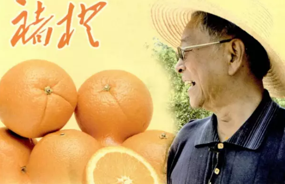 賺不到錢？那是你還不懂農業品牌營銷與傳統營銷的區別！