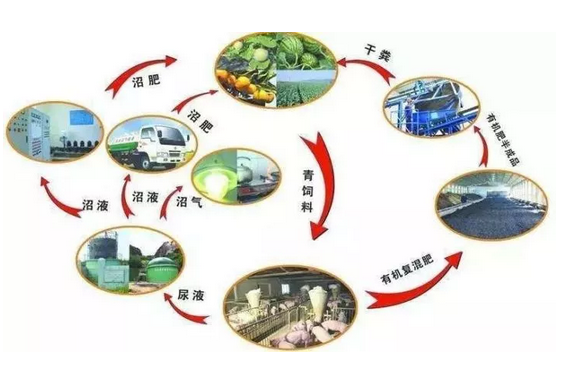 QQ圖片20171009094523 6.png