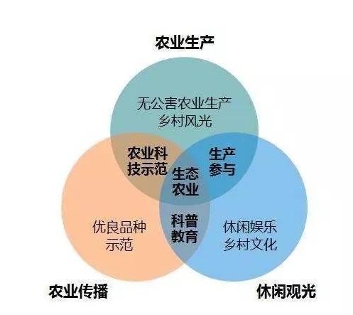 QQ圖片20171009094541 7.png