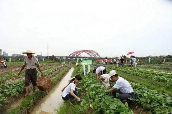 QQ圖片20171009094624 10.png