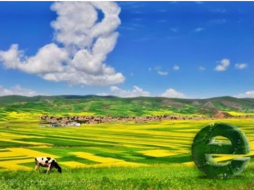 QQ圖片20171009094645 11.png