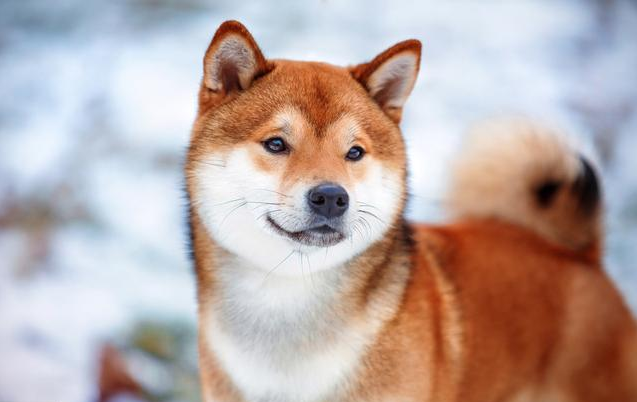 21.png 沒有營銷,只有人性!人生就一個字:賣