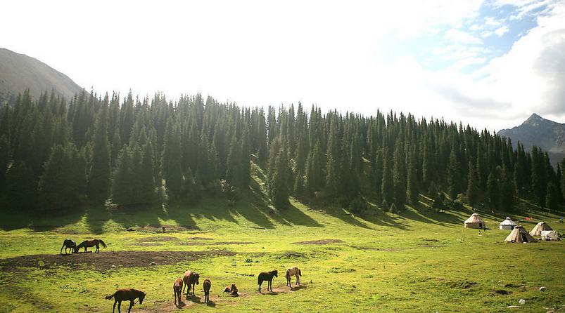 2016農業綜合開發轉移支付資金駕到，不領就要再等一年