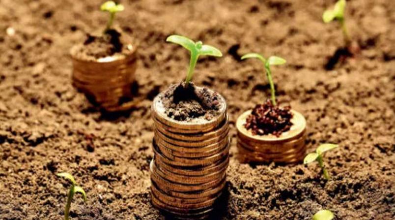 土流網(wǎng)陶慧龍：下一步計劃在全國放款3個億