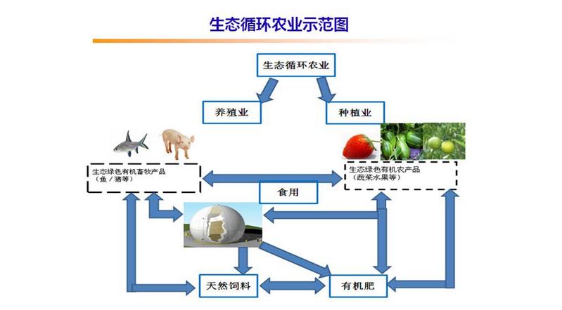 生態循環農業報告：如何在“生態循環農業”中淘金
