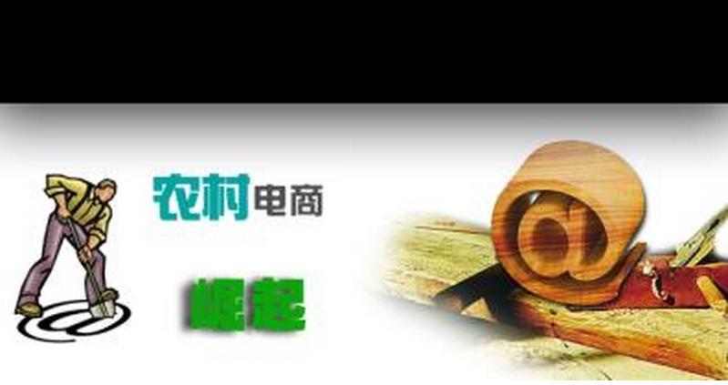 實錄|農澤晟聯合創始人王陽：電商只是渠道，不能解決所有的問題