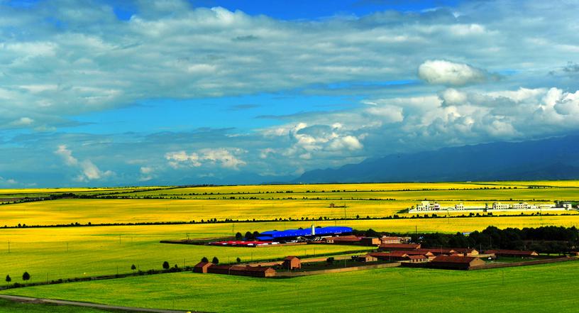 馬云：做強比做大更有意義，創業者應該如何做農業