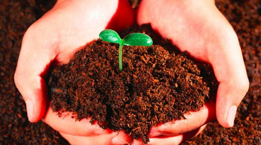 盤點(diǎn)!農(nóng)資電商模式大pk ，成功還要翻越哪幾座大山