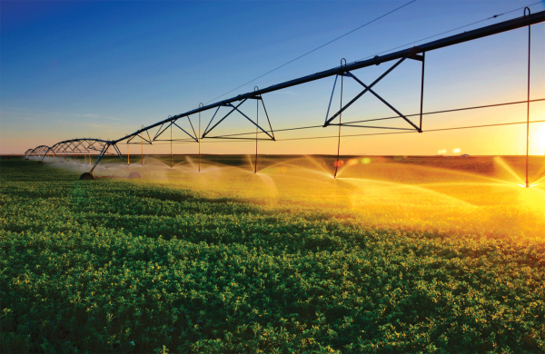 不與京東、阿里爭市場，應該這樣打造農業(yè)龍頭企業(yè)(含申請流程)