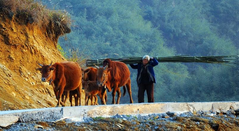 產業扶貧，離扶貧還有多遠(內含產業扶貧案例)