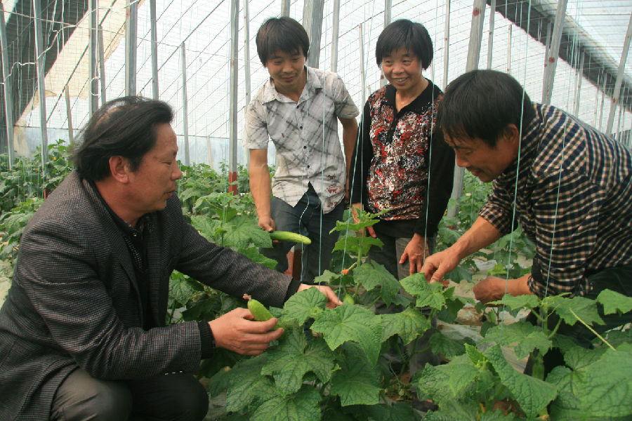國務院明確支持!干農業的這7類人要漲工資
