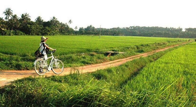 發(fā)改委、農(nóng)業(yè)部推進(jìn)農(nóng)業(yè)領(lǐng)域PPP落地，這7大項(xiàng)目市場(chǎng)前景大