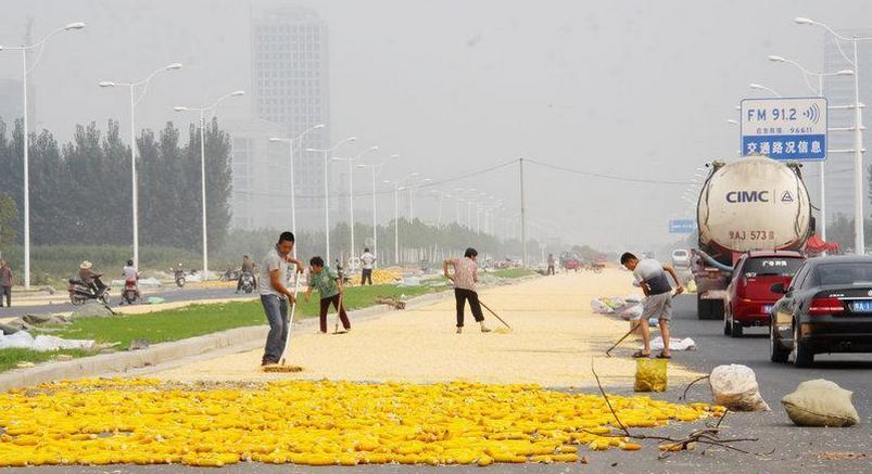 解讀|春天還沒(méi)來(lái)，2017年玉米加工、飼料企業(yè)市場(chǎng)更難做