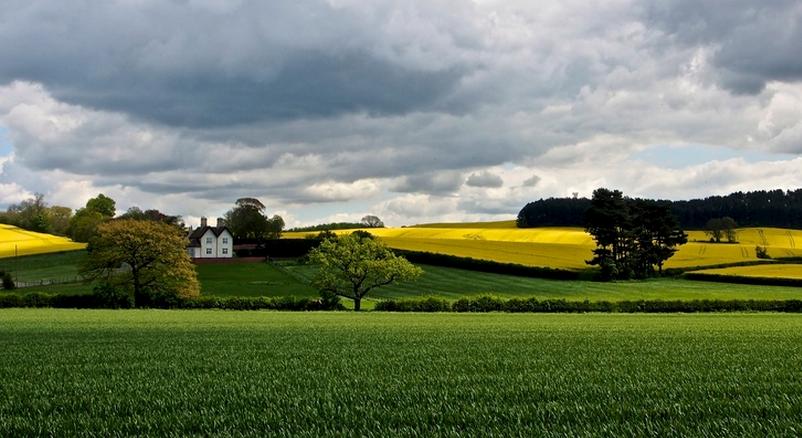 農(nóng)莊、家庭農(nóng)場(chǎng)、合作社：2017年賺錢(qián)難！但還是有方法..