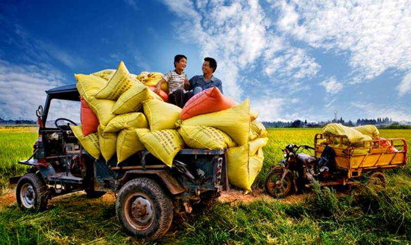 干農業失敗的人，十個有九個都是敗在這些問題上，不信你看