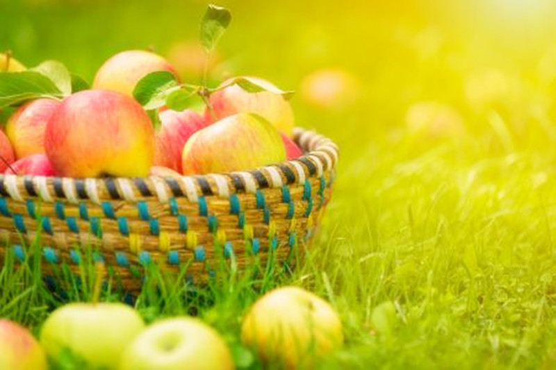 生鮮配送的發(fā)展趨勢，半成品是大勢所趨