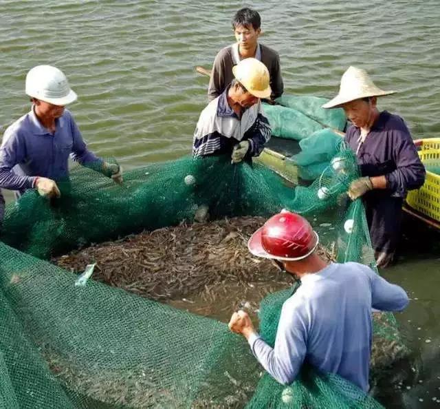 夜讀|和優秀的人在一起，不成功也很快樂！（深度好文）