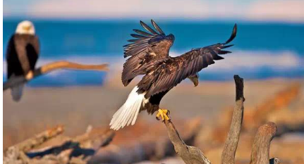 全世界最棒的十種思維