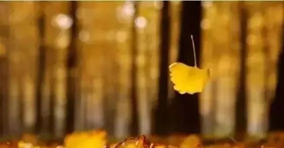 永遠不要從別人嘴里去認識另一個人！