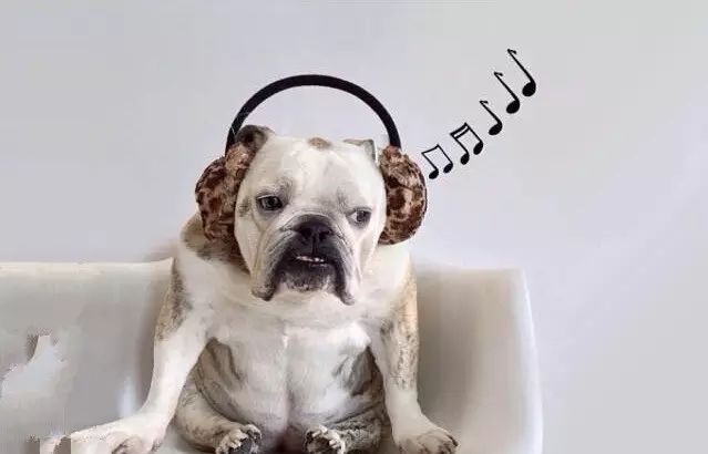 【老板課堂】黑格爾：哲學的七個比喻