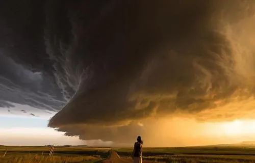 強者都在示弱，弱者都在逞強！（太對了）