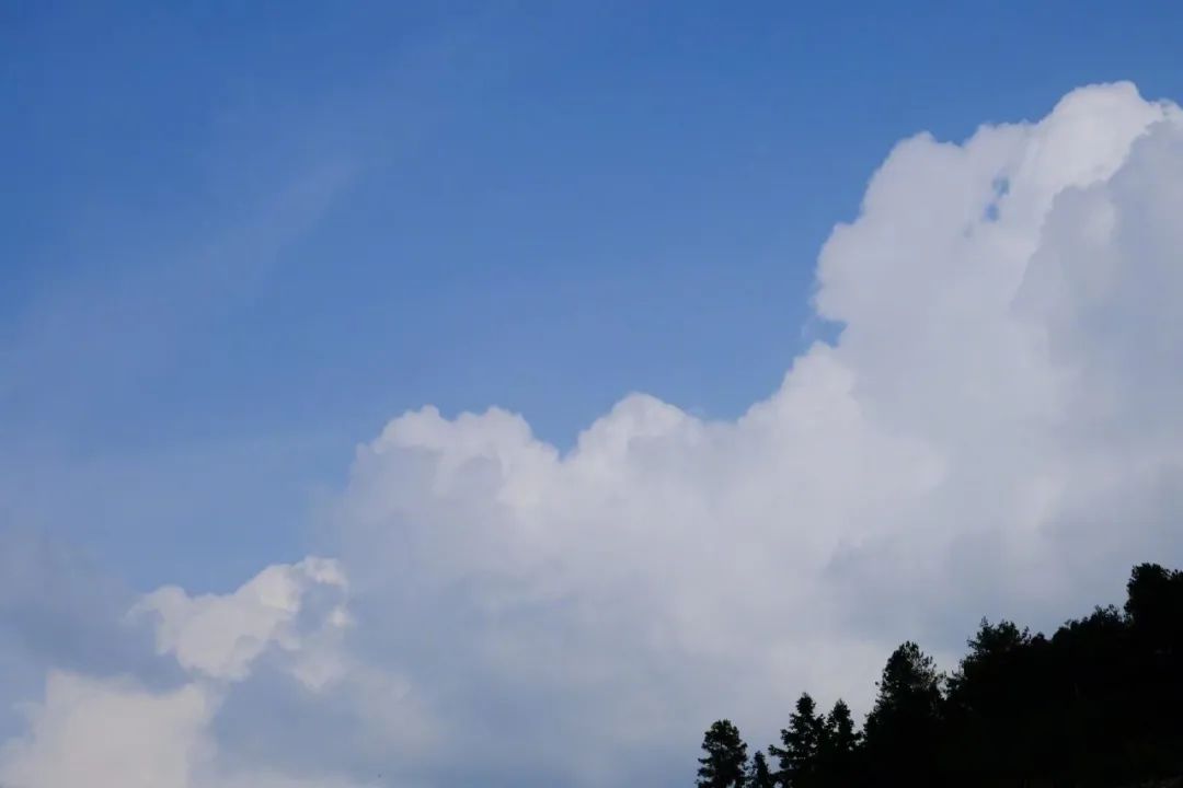 【夜讀】驚人的吸引力法則：和正能量的人在一起，很重要