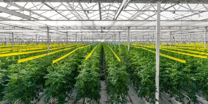 【政策解讀】科技創新和技術改造再貸款涉農項目申報指引