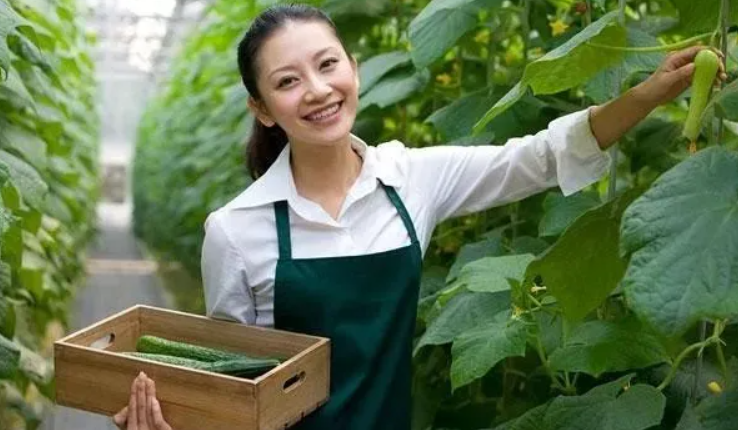 【考證】農藝師高級證書火爆招生~2025年1月份正式開啟報名