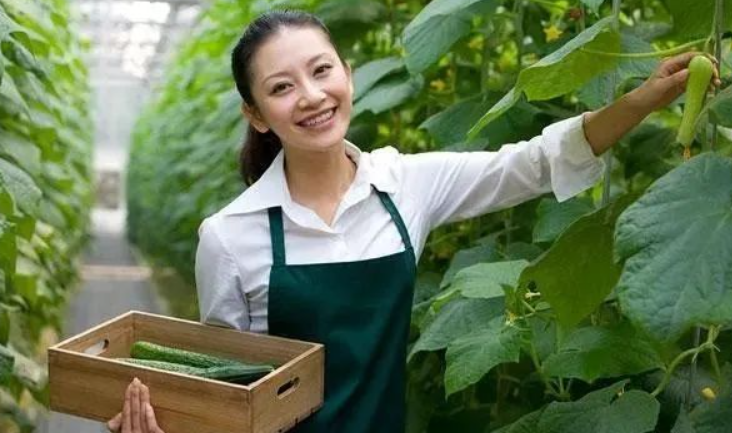 【考證】農藝師高級證書火爆招生~2025年1月份正式開啟報名