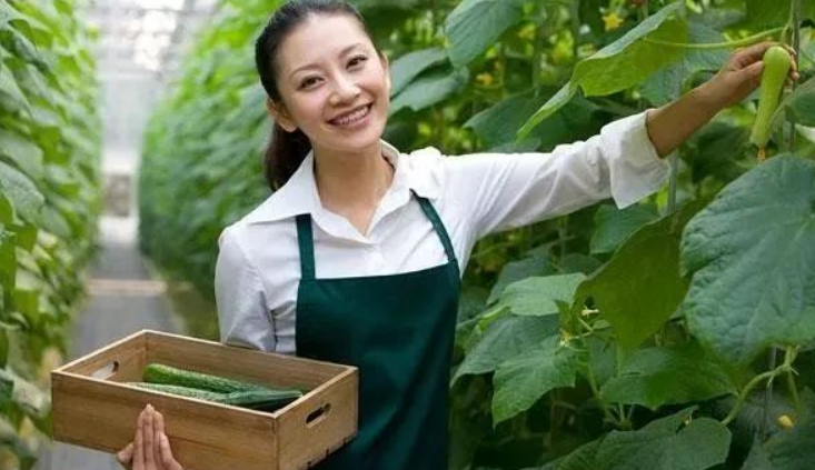 【考證】農藝師高級證書火爆招生~預計2025年2月中旬考試