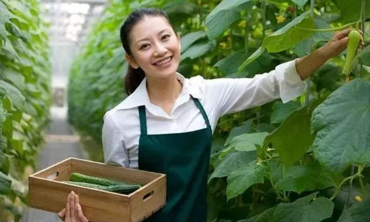 【考證】高級農藝師、園藝師、智慧農業管理師證書火爆招生~3月份考證正式啟動