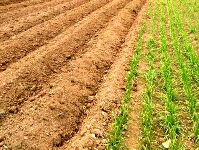 農(nóng)業(yè)供給側(cè)結(jié)構(gòu)性改革到底改的是何物？