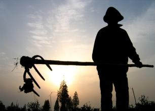 想成為農業經理人需要哪些“資質”？