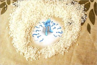 農(nóng)業(yè)進(jìn)行時(shí)|北大荒大米損嚴(yán)重，真正原因曝光