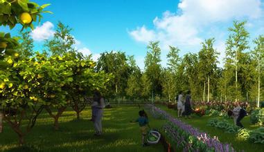 生態農業如何助力農業供給側結構性改革？