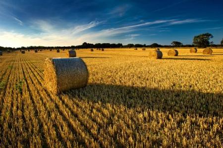 我國農業發展為何一直不前？為何困難重重？