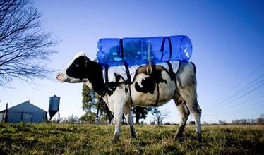 農(nóng)牧行業(yè)百萬經(jīng)銷商將何去何從？