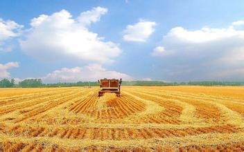 親子休閑農業，未來新的發展趨勢！（附經典案例） 